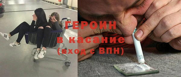 стафф Ельня