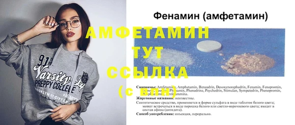 стафф Ельня