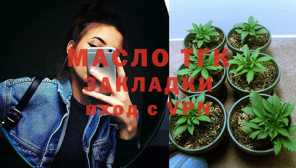 стафф Ельня