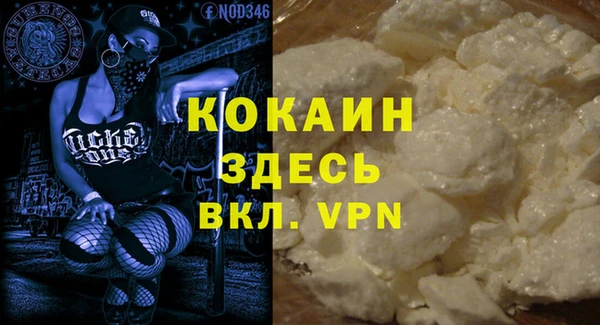 стафф Ельня