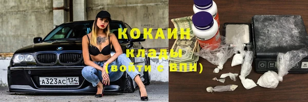 стафф Ельня