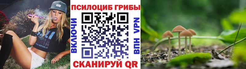 Галлюциногенные грибы прущие грибы Зеленодольск