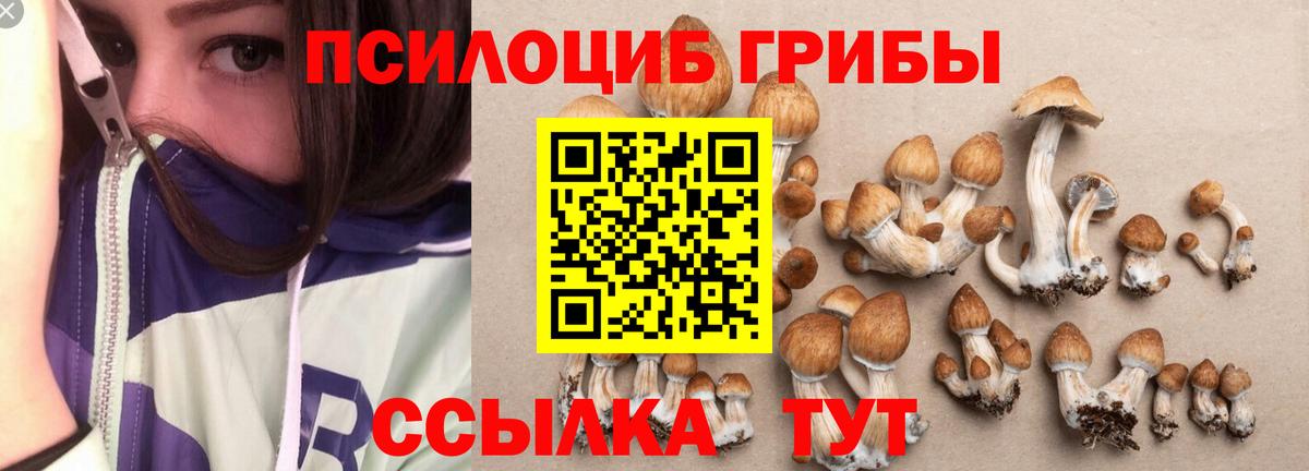 Зеленодольск  Псилоцибиновые грибы GOLDEN TEACHER  Вход с VPN  купить наркотики сайты  Псилоцибиновые грибы ЛСД 